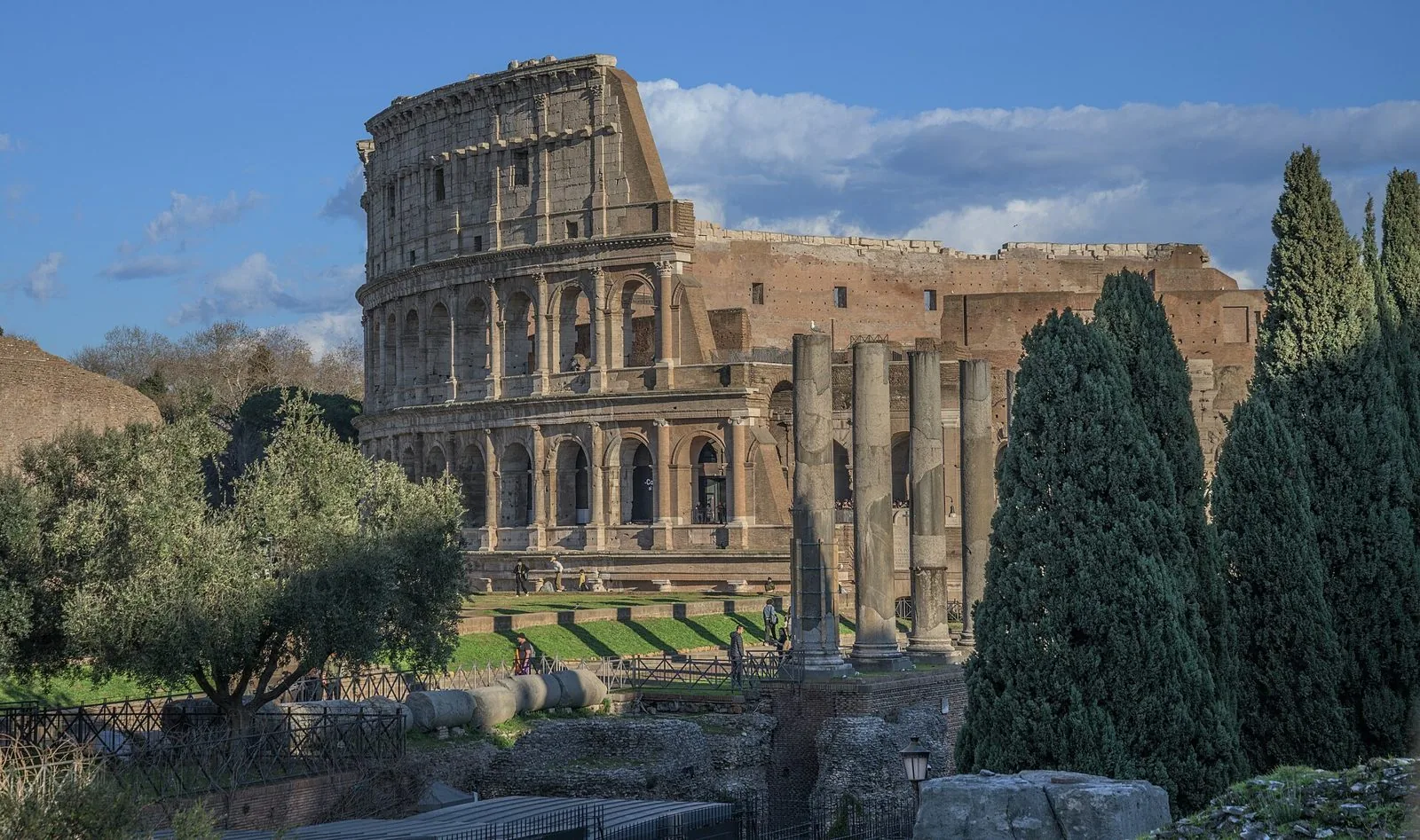 Il Colosseo visto dall'area del Foro Romano, con colonne antiche, cipressi e ulivi in primo piano sotto un cielo azzurro