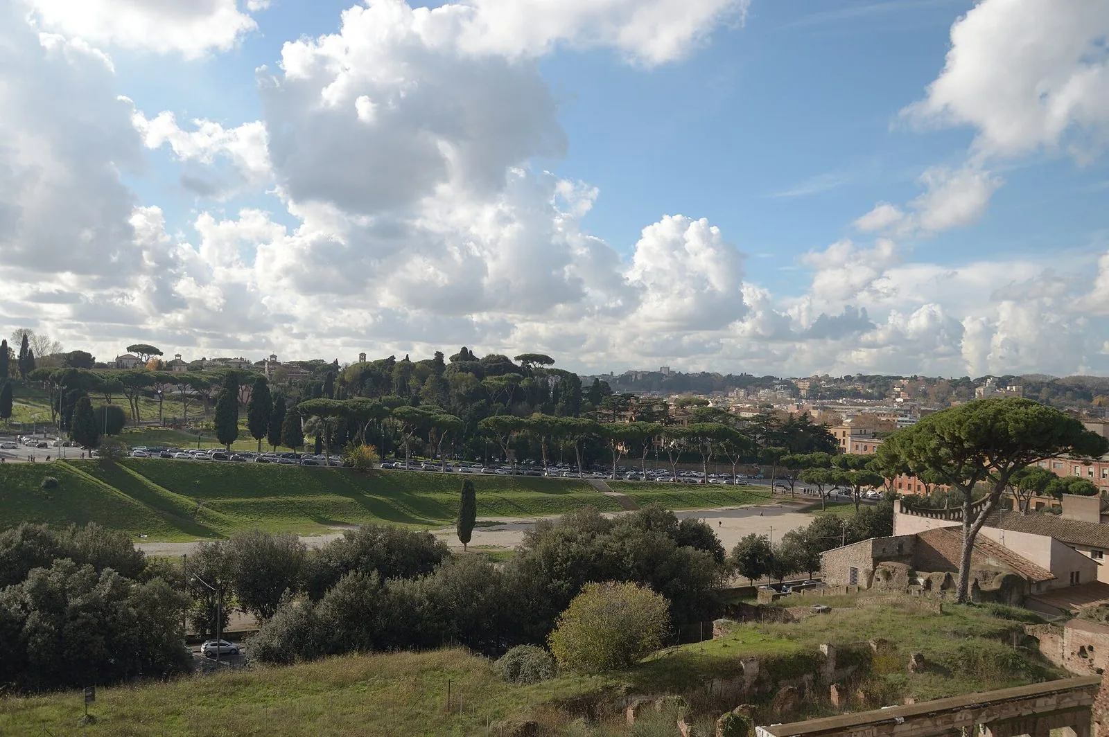 Il Circo Massimo visto dal Palatino, con il prato e i pini sotto un cielo di nuvole bianche